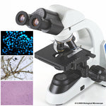 Biological Microscope Binocular