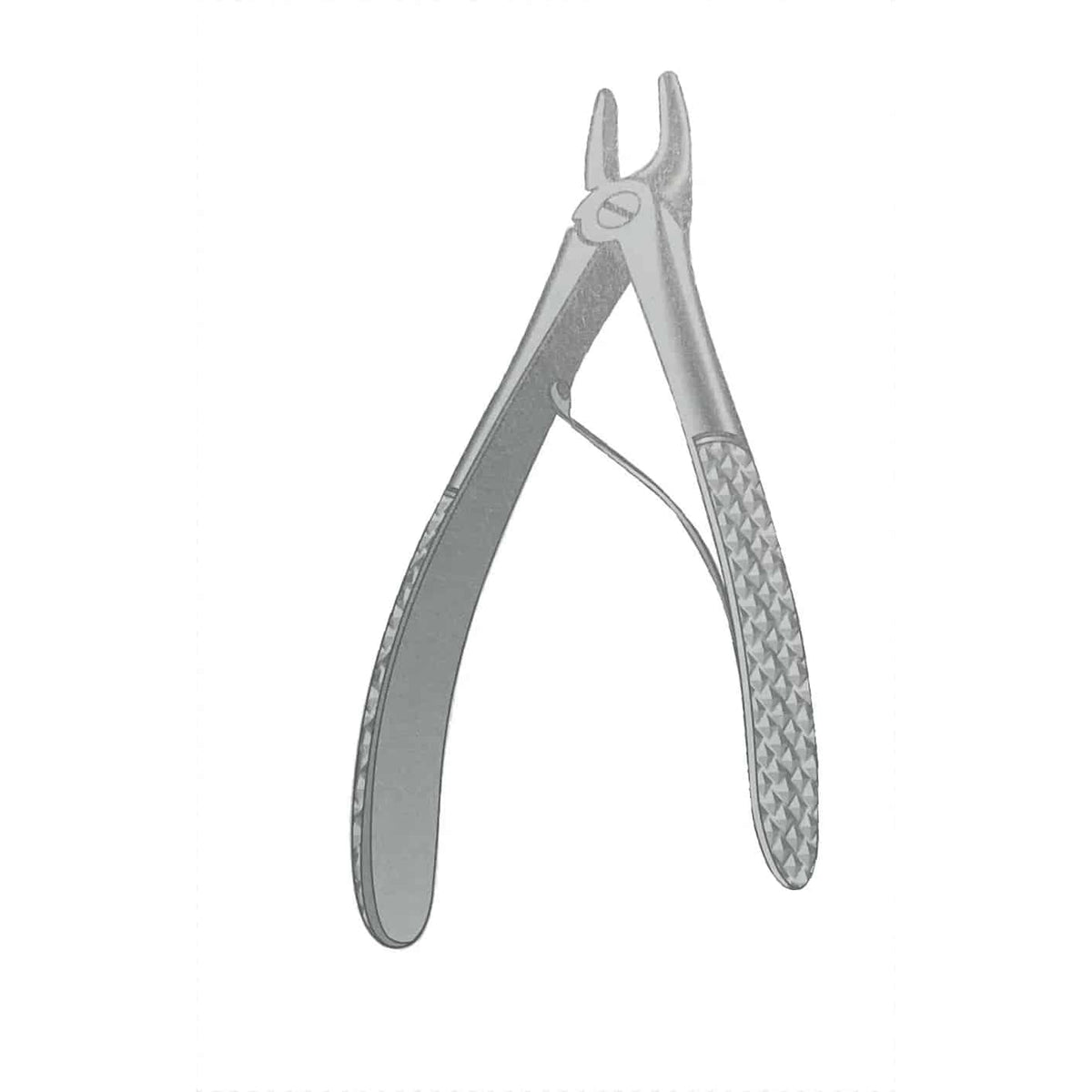 Dental Extraction Forcep