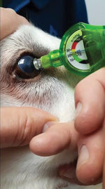 IOP Disposable Veterinary Tonometer