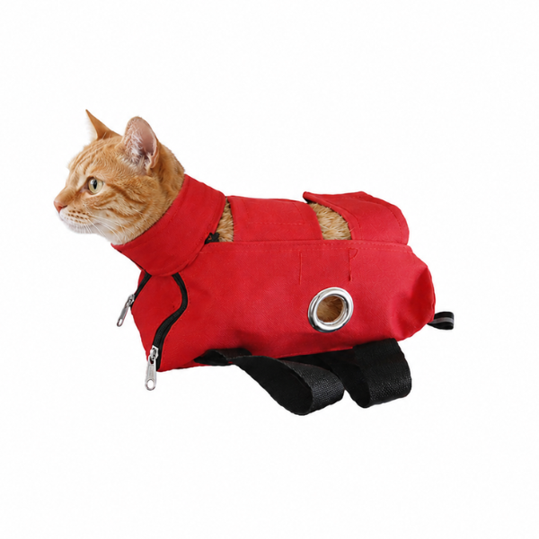 Cat Examination Bag
