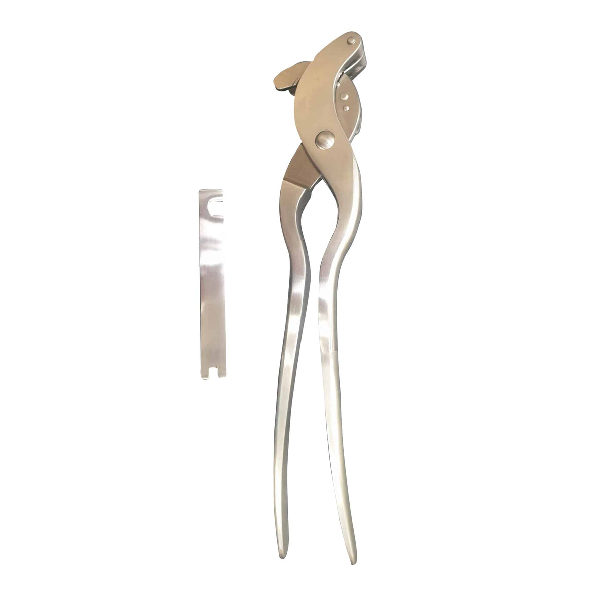 Stainless Steel Serra Modified Castration - Length 35cm