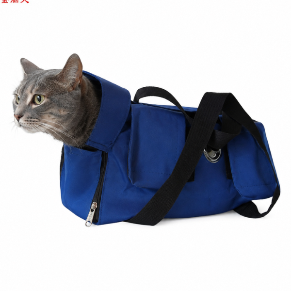 Cat Examination Bag