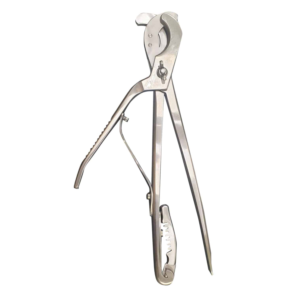Stainless Steel Reimers Castration - Length 31cm