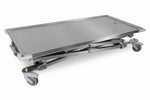 Maxi-lift Treatment & Transport Table inc Cushion - Stainless Steel
