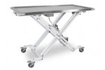 Maxi-lift Treatment & Transport Table inc Cushion