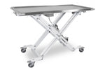 Maxi-lift Treatment & Transport Table inc Cushion